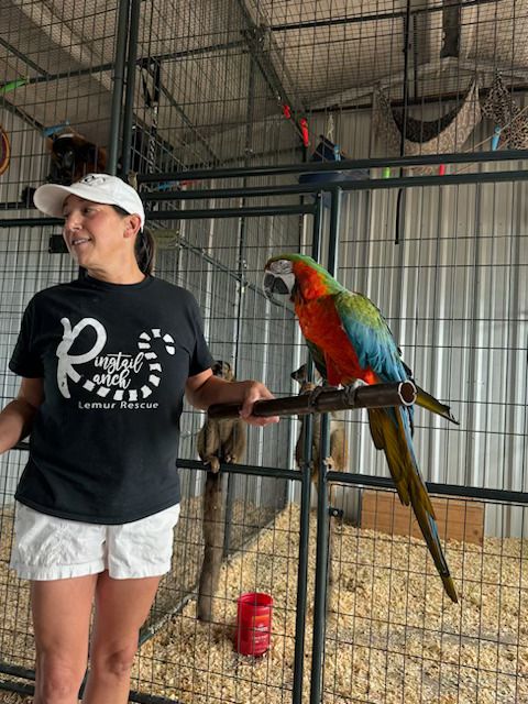 Boy holding a bird