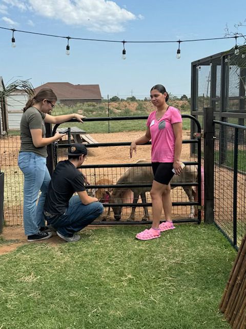 Kids with kangaroo