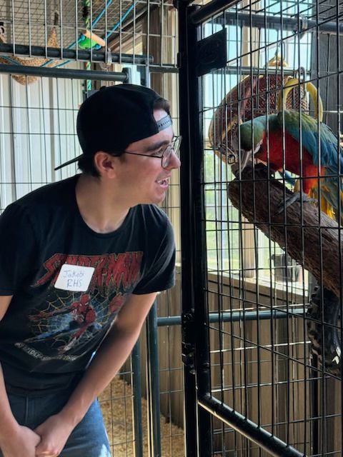 Boy white a colorful bird