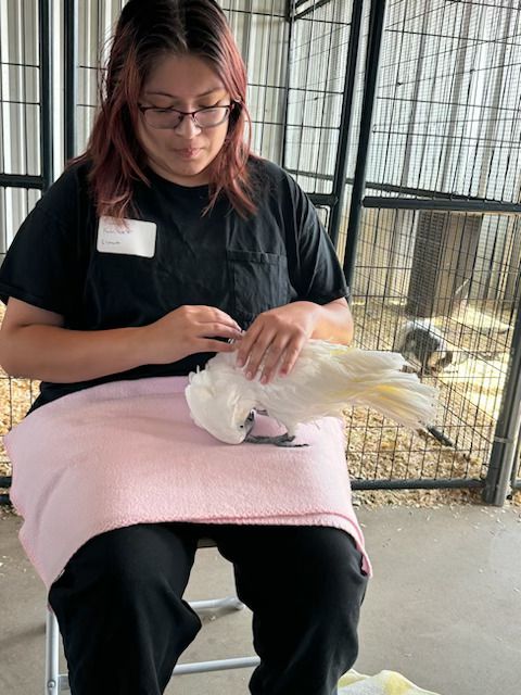 Kid holding white bird