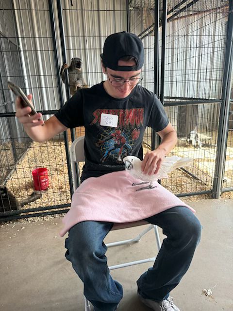 Kid playing with bird