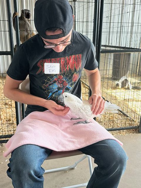 Holding a white bird